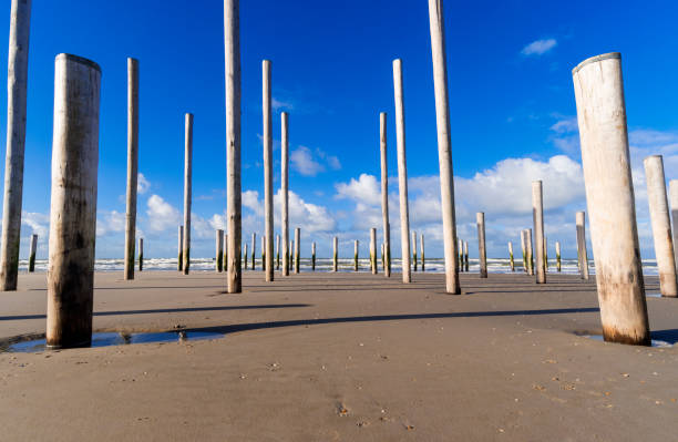 istock Wooden Poles on a Beach 914643652