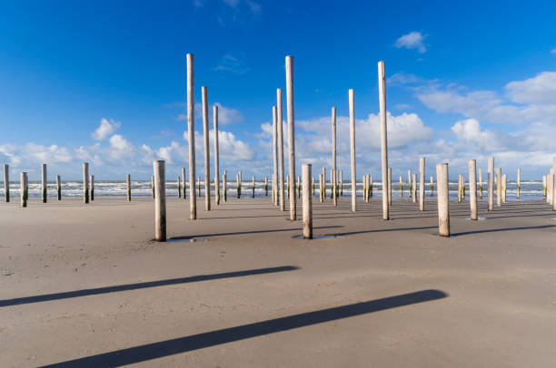 Wooden poles on a beach under a nicely clouded sky. Location is Petten, Netherlands