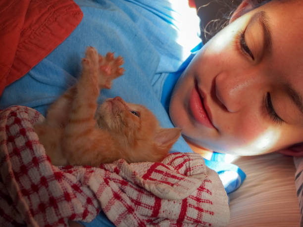 istock Girl and kitten 914650970