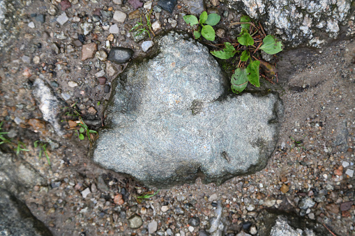 stones in the shape of heart
