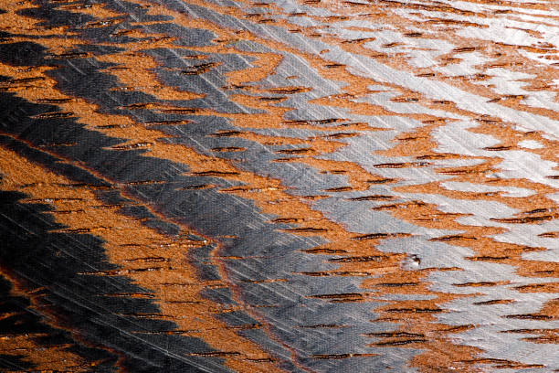 Texture of a wenge tree shot on a macro lens