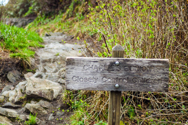 istock Charlies Bunion Sign, Great Smoky Mountains 914655196