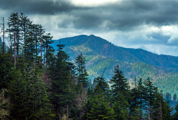 istock Appalachian Trail, Great Smoky Mountains 914655206