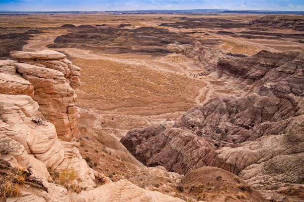 istock Petrified Forest National Park, Arizona, USA 914658692
