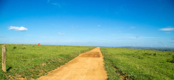 istock National park brazil serra da canastra 914663062