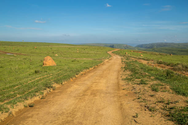 istock National park brazil serra da canastra 914663242