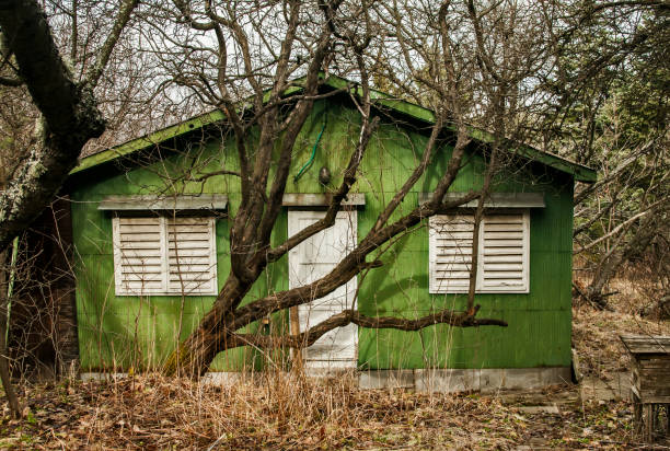 istock Wooden green bungalow 914672948