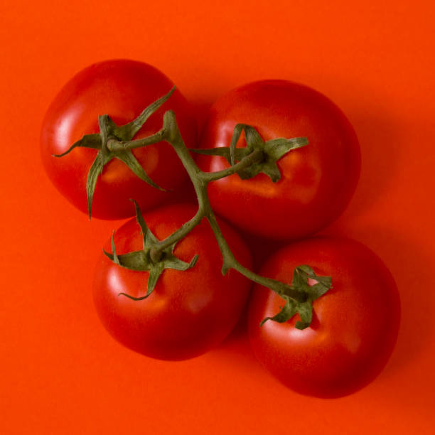 istock Vine Tomatoes Dramtically Lit on an Orange Background 914678940
