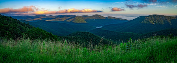 vista panoramica del parco nazionale di shenandoah, virginia, usa - blue ridge mountains appalachian mountains appalachian trail skyline drive foto e immagini stock