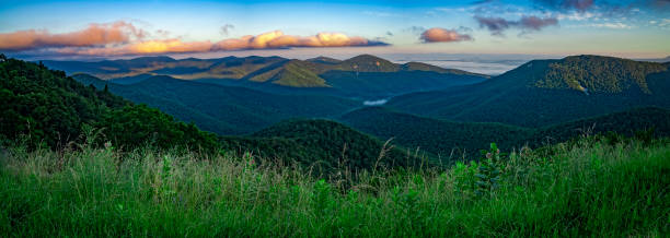 панорамный вид на национальный парк шенандоа, вирджиния, сша - blue ridge mountains appalachian mountains appalachian trail skyline drive стоковые фото и изображения