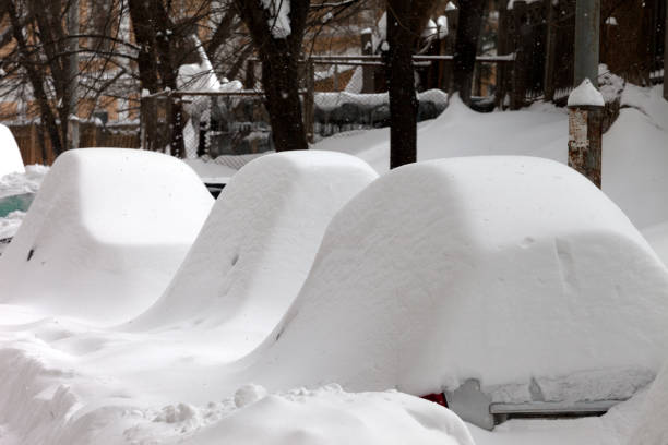 istock Snow covered cars after snowfall 914679422