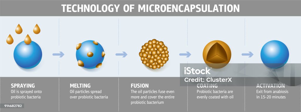 Microencapsulation Tech Technology Of Microencapsulation Stock Illustration - Download Image ...