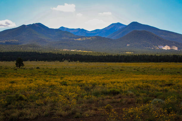 istock Sunset Crater Volcano National Monument - Arizona 914684150