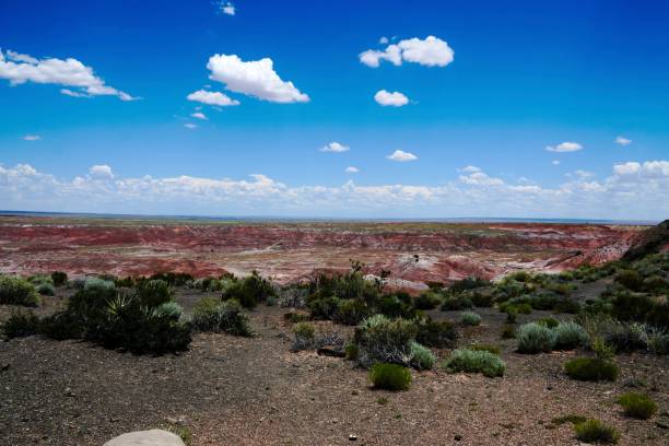 istock Petrified Forest National Park in Arizona 914684398