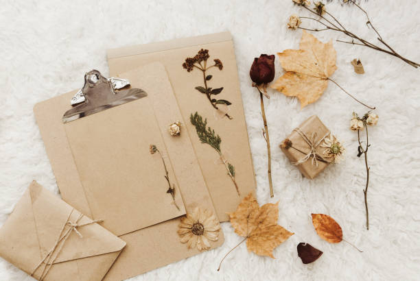 istock Craft clipboard with dry flowers. Mock up composition. Flat lay 914684438