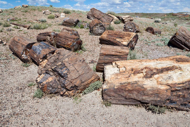 istock Petrified Forest National Park in Arizona 914684484