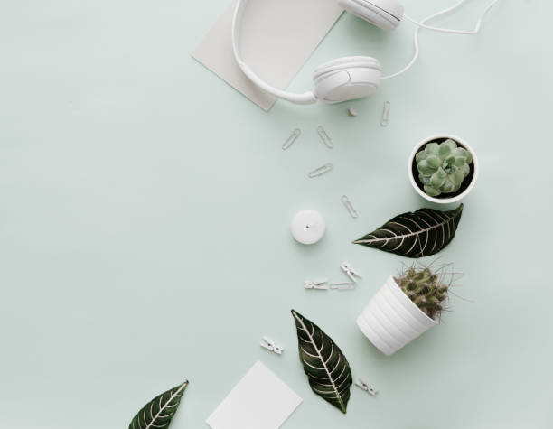 istock Modern Pastel Hipster Flat Lay With Pots with Cactus, headphones, botanical elements. Top view 914687152