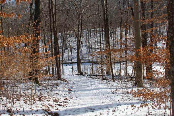 istock Colorful Snowy Landscape 914691224