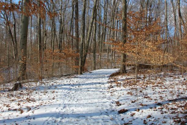 istock Colorful Snowy Landscape 914691260
