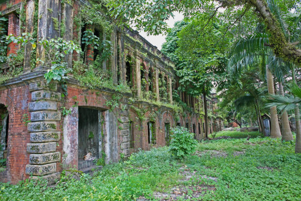 istock The jungle advances into the abandoned Ministers Building (the Secretariat or Secretariat Building) 914691610