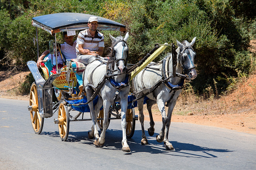 BUYUKADA, TURKEY - JULY 18, 2015 : Horse carriage in Prince Island Buyuk ada . Buyukada is the biggest island near Istanbul. Phaeton tour is famous