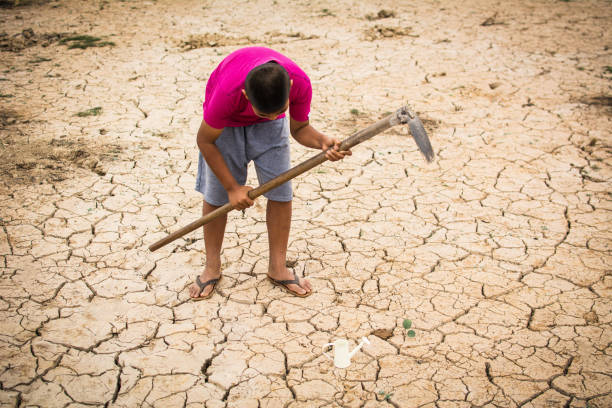 istock Boy Planting Plant On Cracked Ground 914714446
