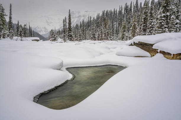 istock Mistaya Canyon Falls, Icefields Parkway, Banff National Park 914722616
