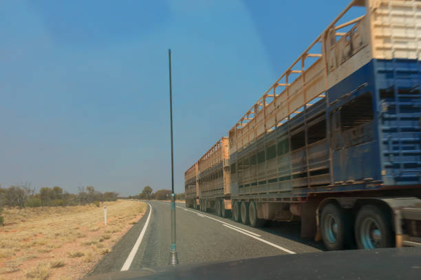 istock Passing road train viewed from vehicle in outback Northern Territory 914729936