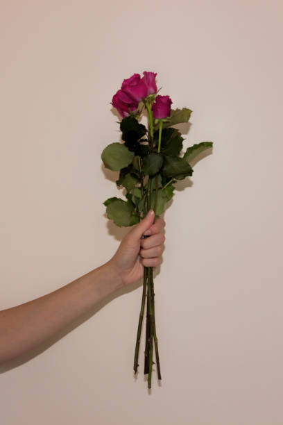 istock Woman's arm holding a bouquet of roses. 914732788