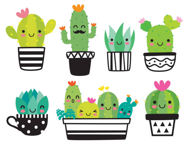 Cute Succulent or Cactus Vector Illustration Cute succulent or cactus plant with happy face vector illustration set. cactus stock illustrations
