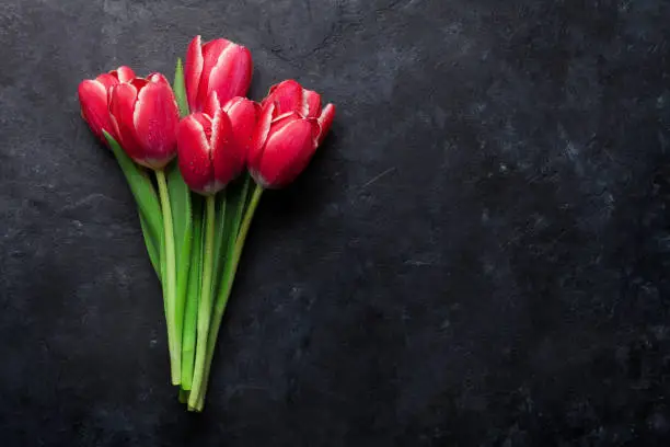 Photo of Red tulip flowers