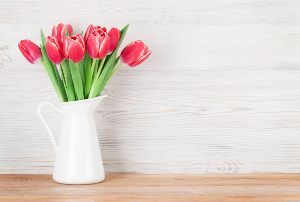 istock Red tulip flowers 914747222