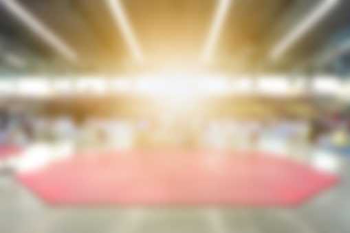 Abstract blurred background Hall of Fame Indoor Stadium