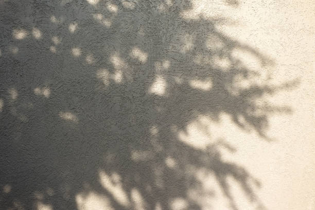 istock Light and shadow of tree on grey cement walls 914751276