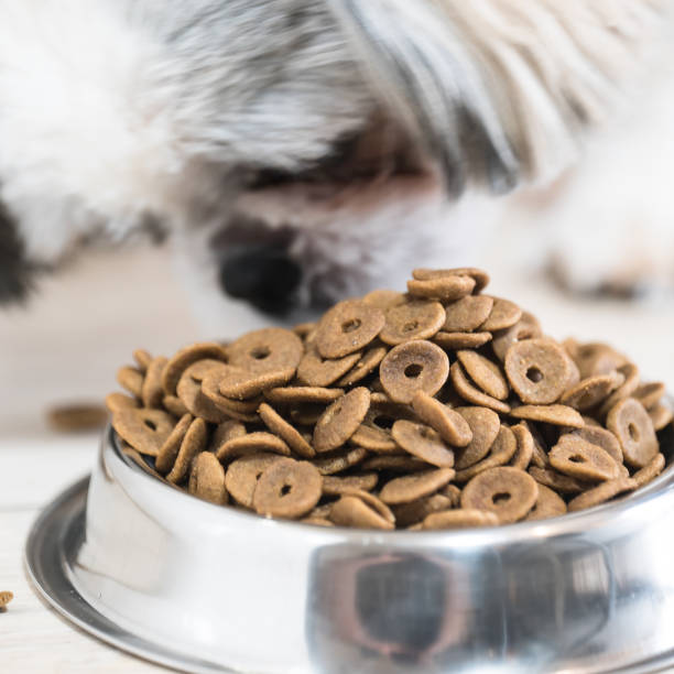 istock Dry dog treats in bowl 914756326