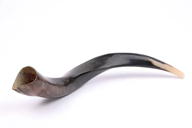 Shofar - a horn used in jewish holidays of Rosh Hashana and Yom Kippur.