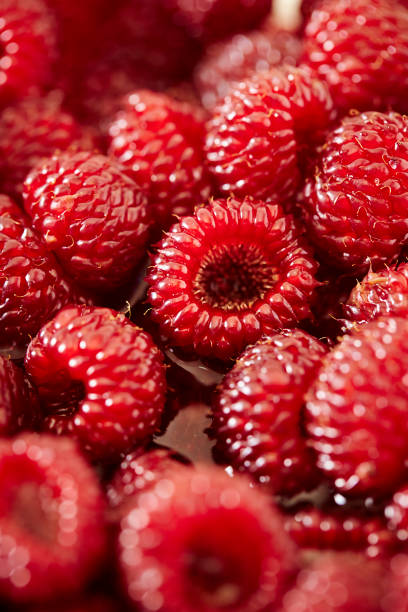 Raspberry