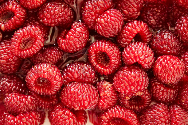 Raspberry