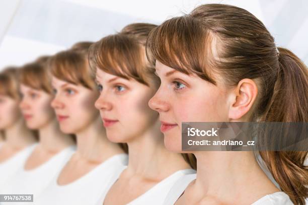 A Lot Of Women In A Row Genetic Clone Concept Stock Photo - Download Image Now - Cloning, Women, Adult