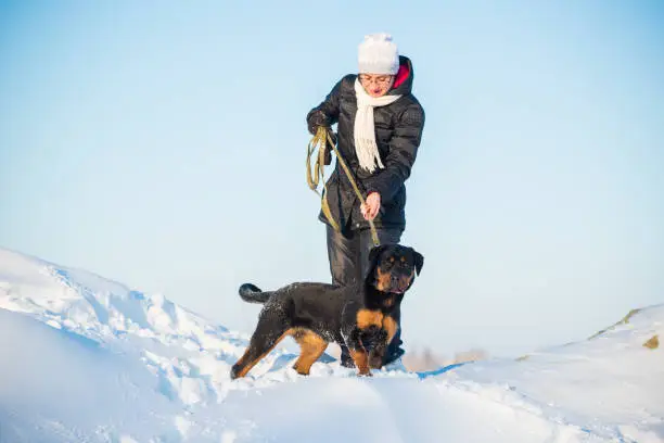 Photo of Woman walk with dog