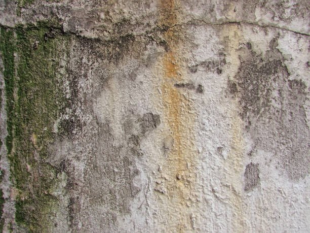 istock Close-up of Wall Texture Details 914771986