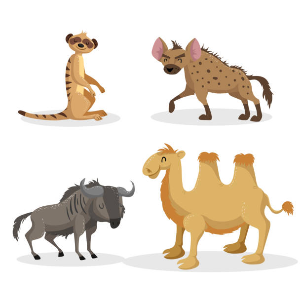 ilustrações, clipart, desenhos animados e ícones de desenho animado estilo moderno conjunto de animais africanos. hiena, gnus, meerkat e o camelo-bactriano. olhos fechados e alegres mascotes. ilustrações de animais selvagens. - hiena