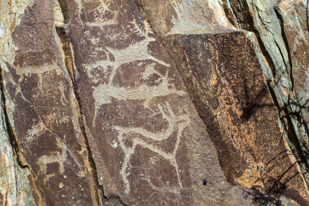 istock Ancient rock paintings, petroglyphs in the Altai Mountains, Russia. 914776300