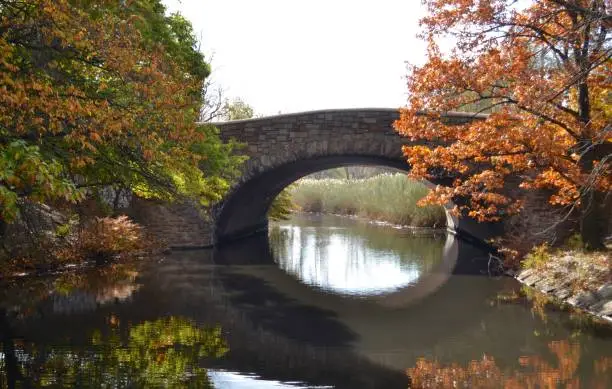 Photo of Fall leaves on trees in New England with stone bridge