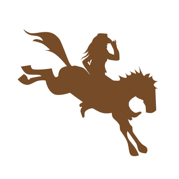 ilustrações de stock, clip art, desenhos animados e ícones de cowgirl - rodeo cowboy motion horse