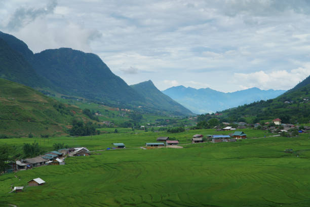 istock Landscape of Sapa, Vietnam. 914784496