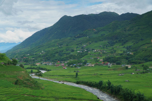istock Rice terrace in Sapa, Vietnam 914784600
