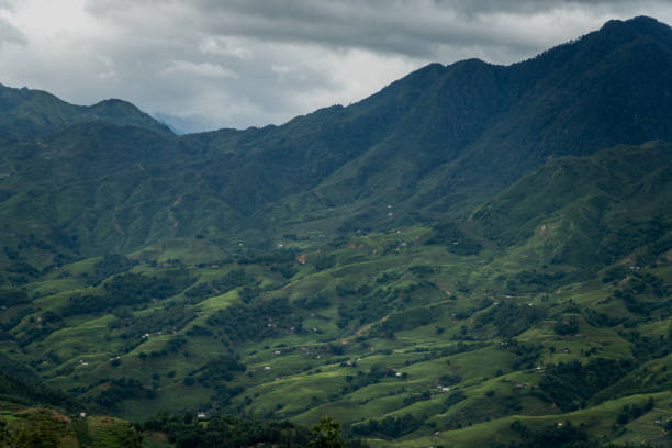 istock Rice terrace in Sapa, Vietnam 914784610