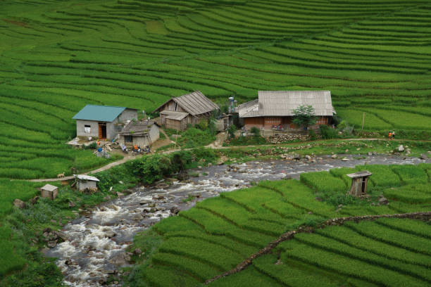 istock Landscape of Sapa, Vietnam. 914784622