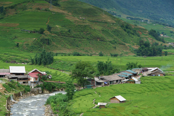 istock Landscape of Sapa, Vietnam. 914784630